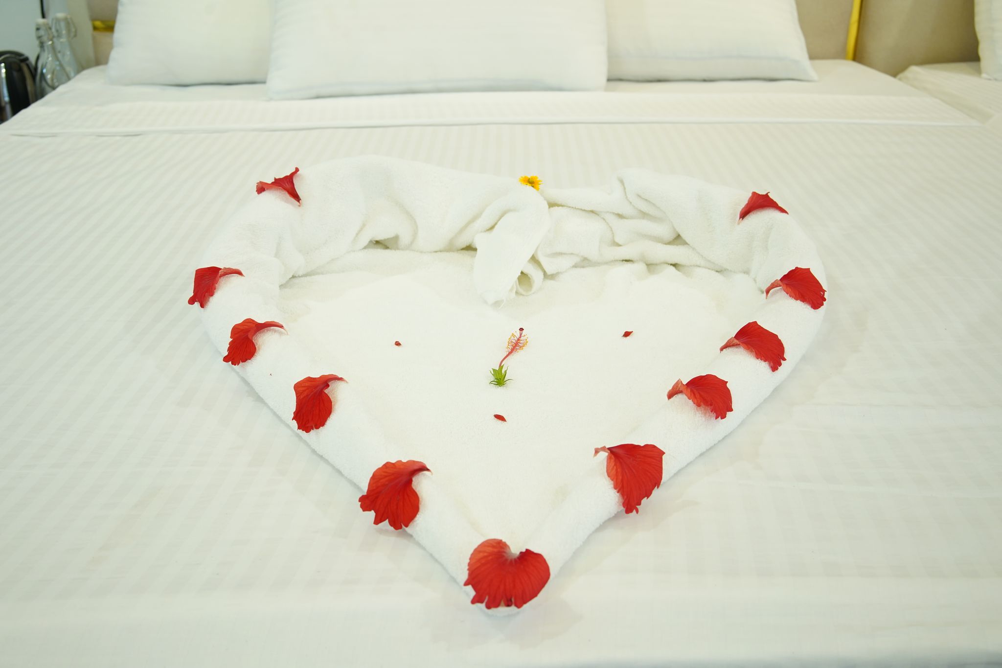 Chettinadu Garden View Suite