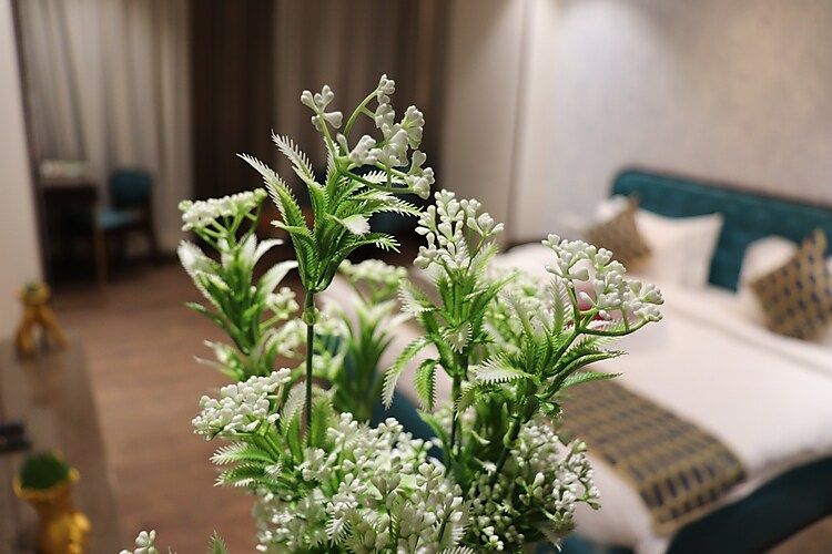 Hotel Seven Stone Deluxe Room 7