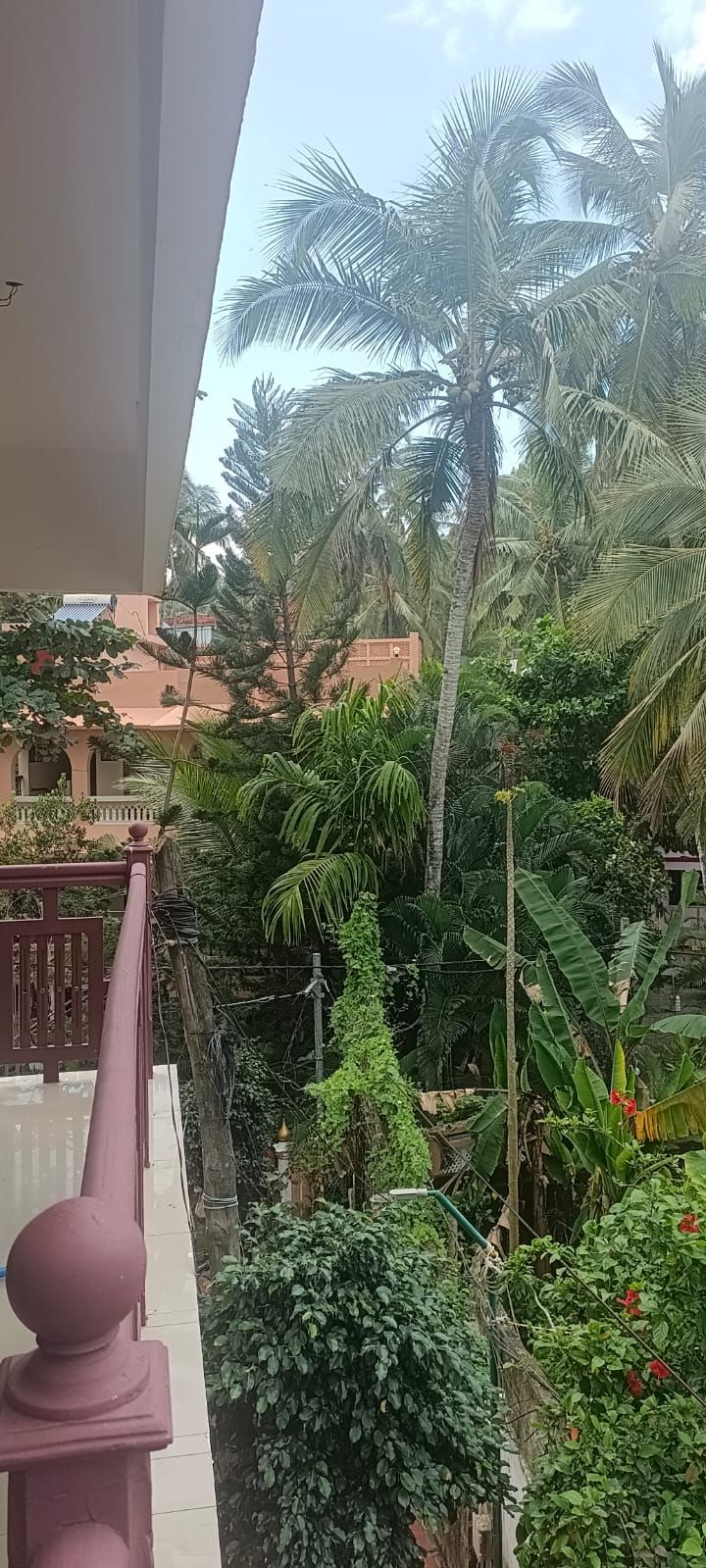 TIPPY'S BEACH RESORT Standard Room 6