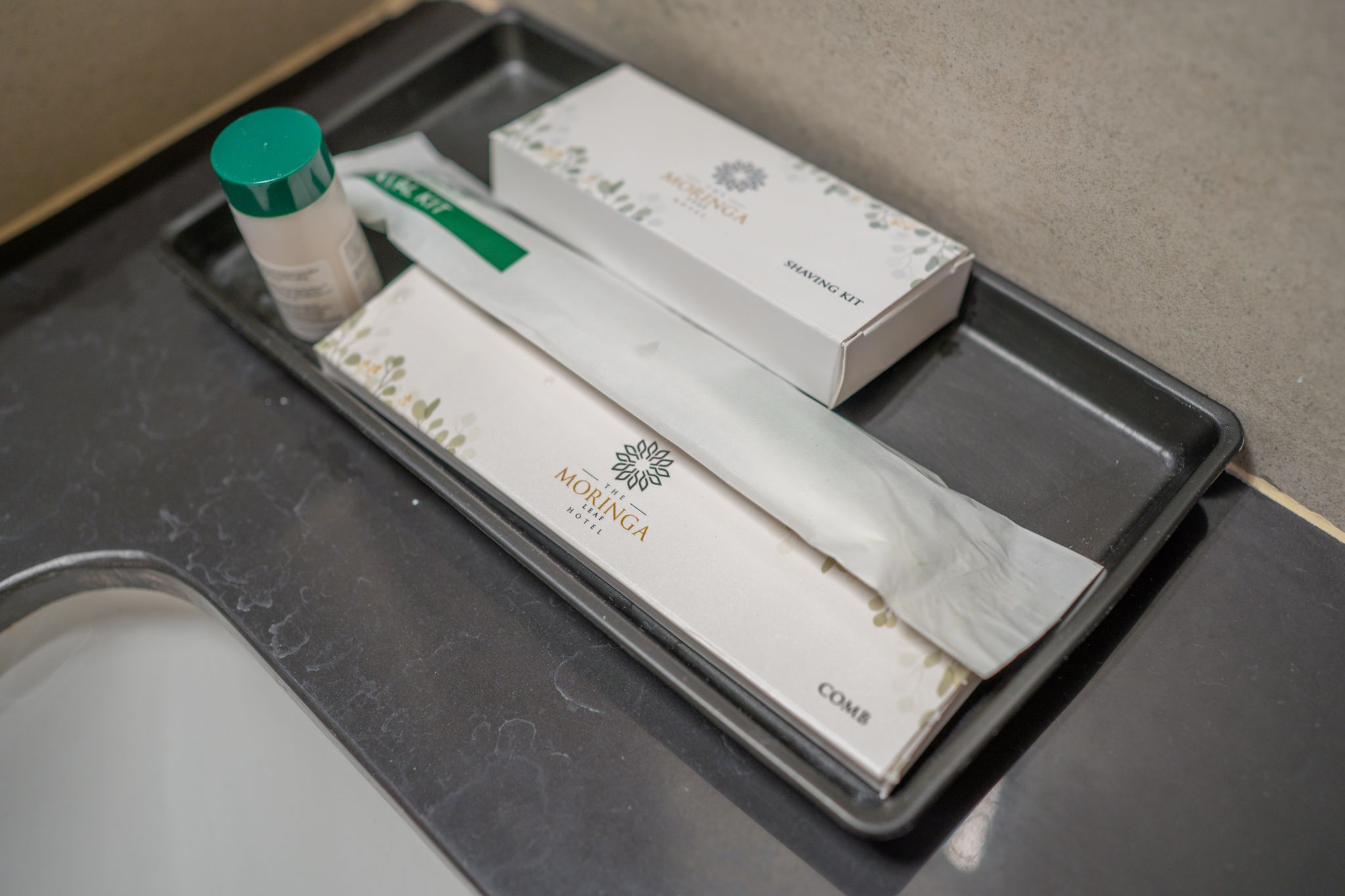 The Moringa Leaf Twin Room 9