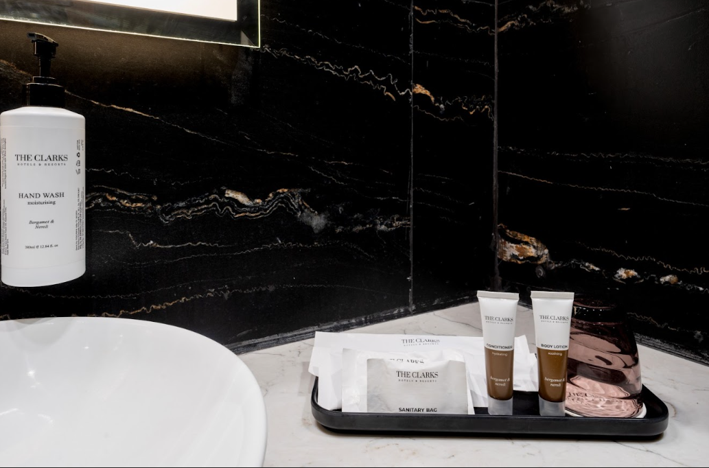 Gir Aatithya Clarks Inn Deluxe Room 5