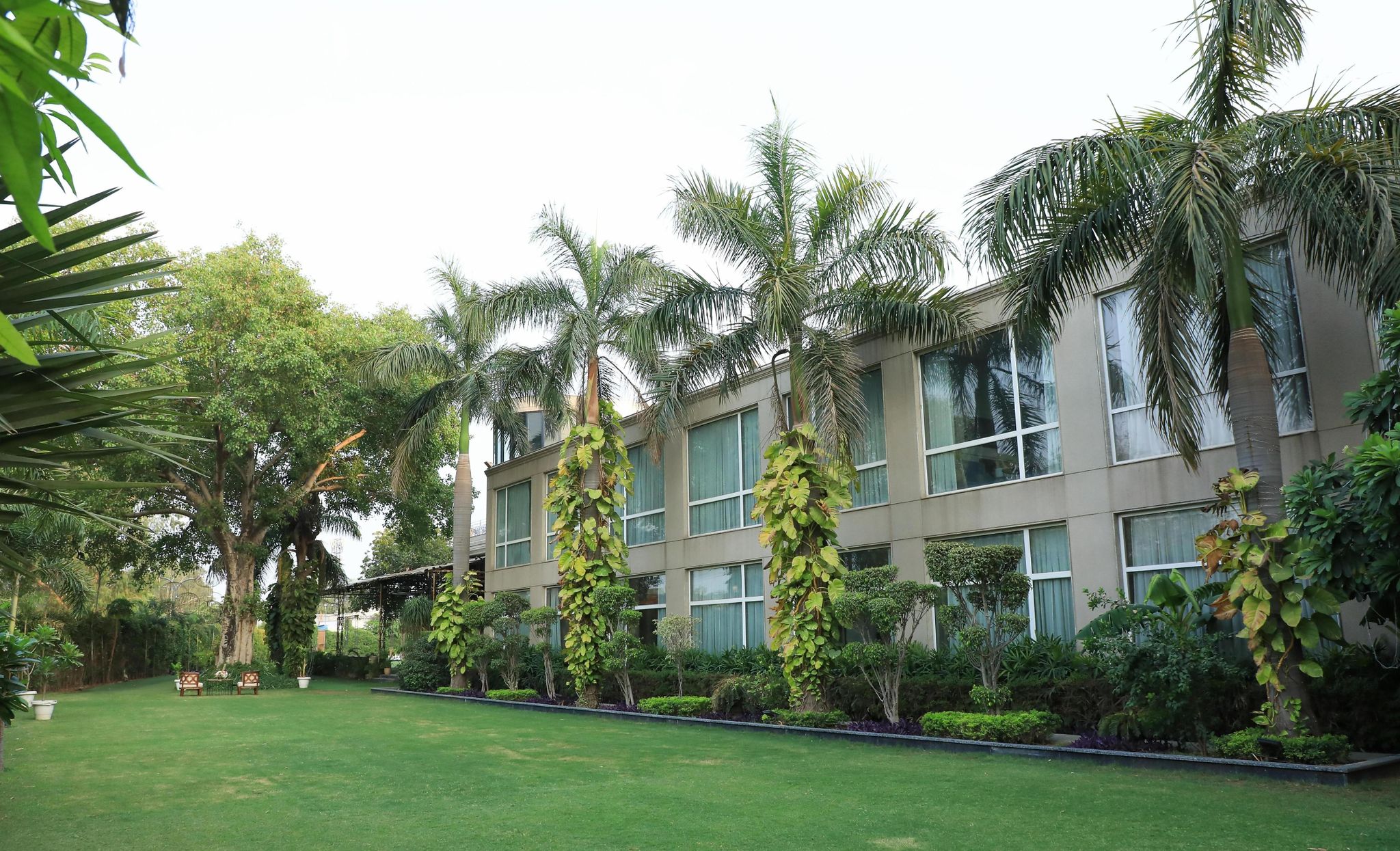 image_4671531_f1e5e7e8-1836-4f79-b47c-51dc2baa483c