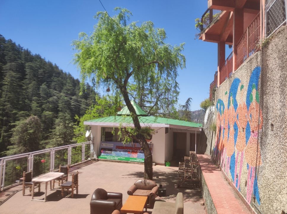 Pine Wood Cottages and Spa