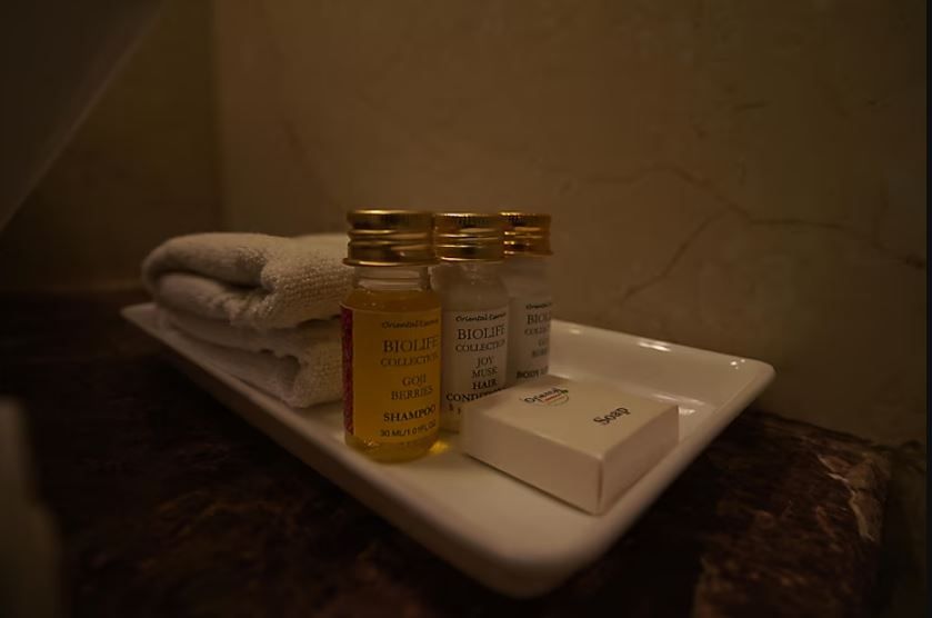 Love Kush Hotel Super Deluxe Room 5