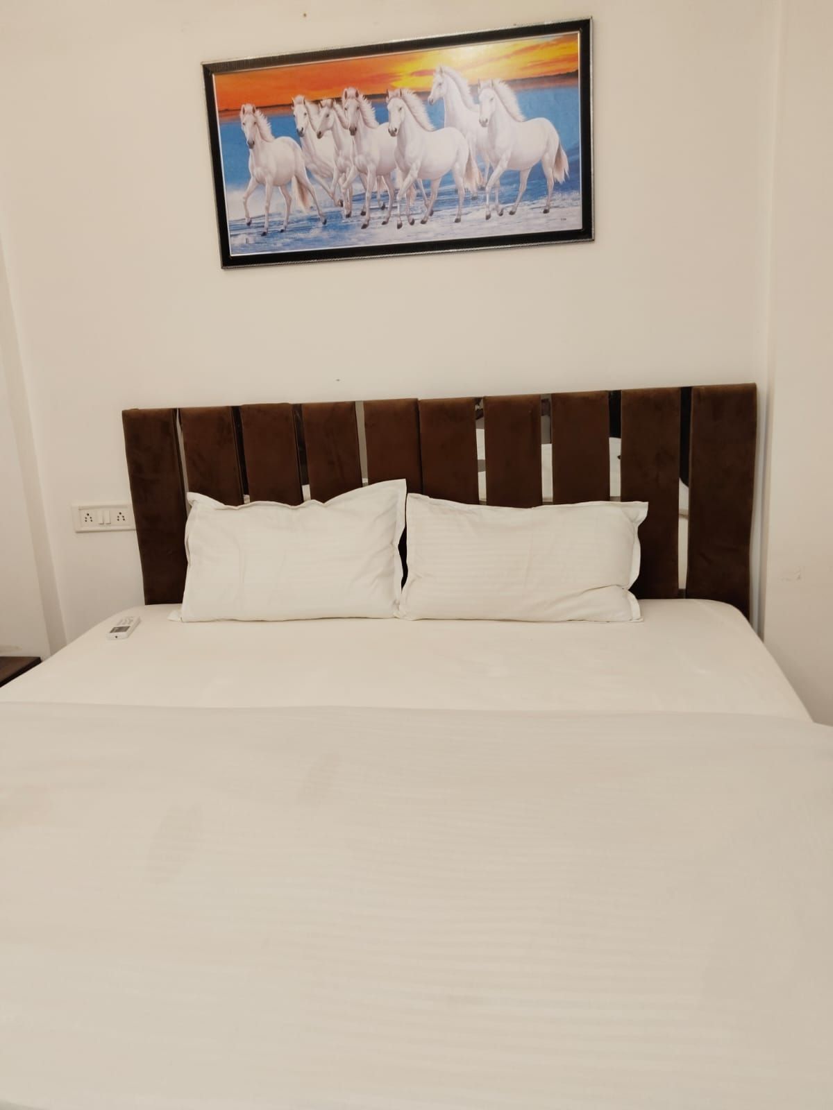 Kiwi Inn Hotel Standard Room