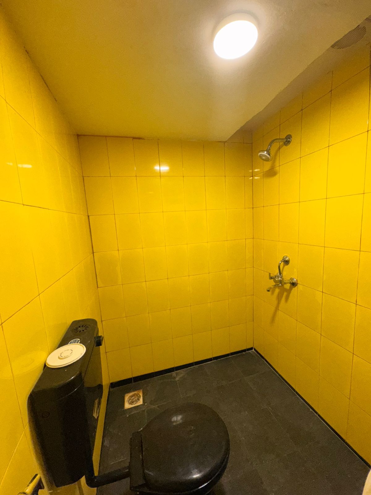 Lost Paradise : A Social Hostel Private Room With Pool View 4