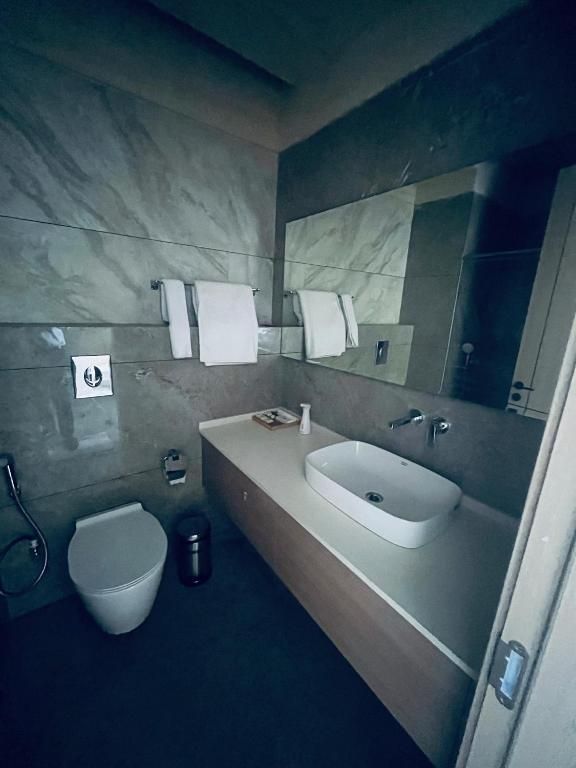 Le Parc Hotel & Banquets An Initiative by SHER-E-PUNJAB Deluxe Room 16