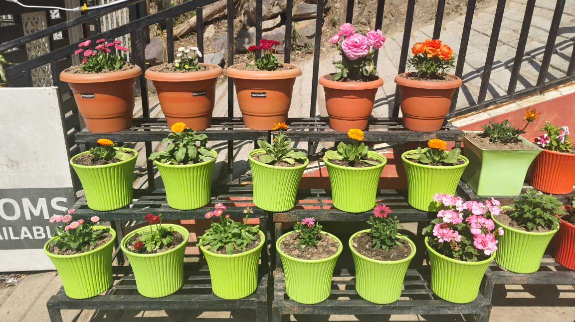 image_4673065_9eb5aedf-203b-4432-9837-8bf889d54676