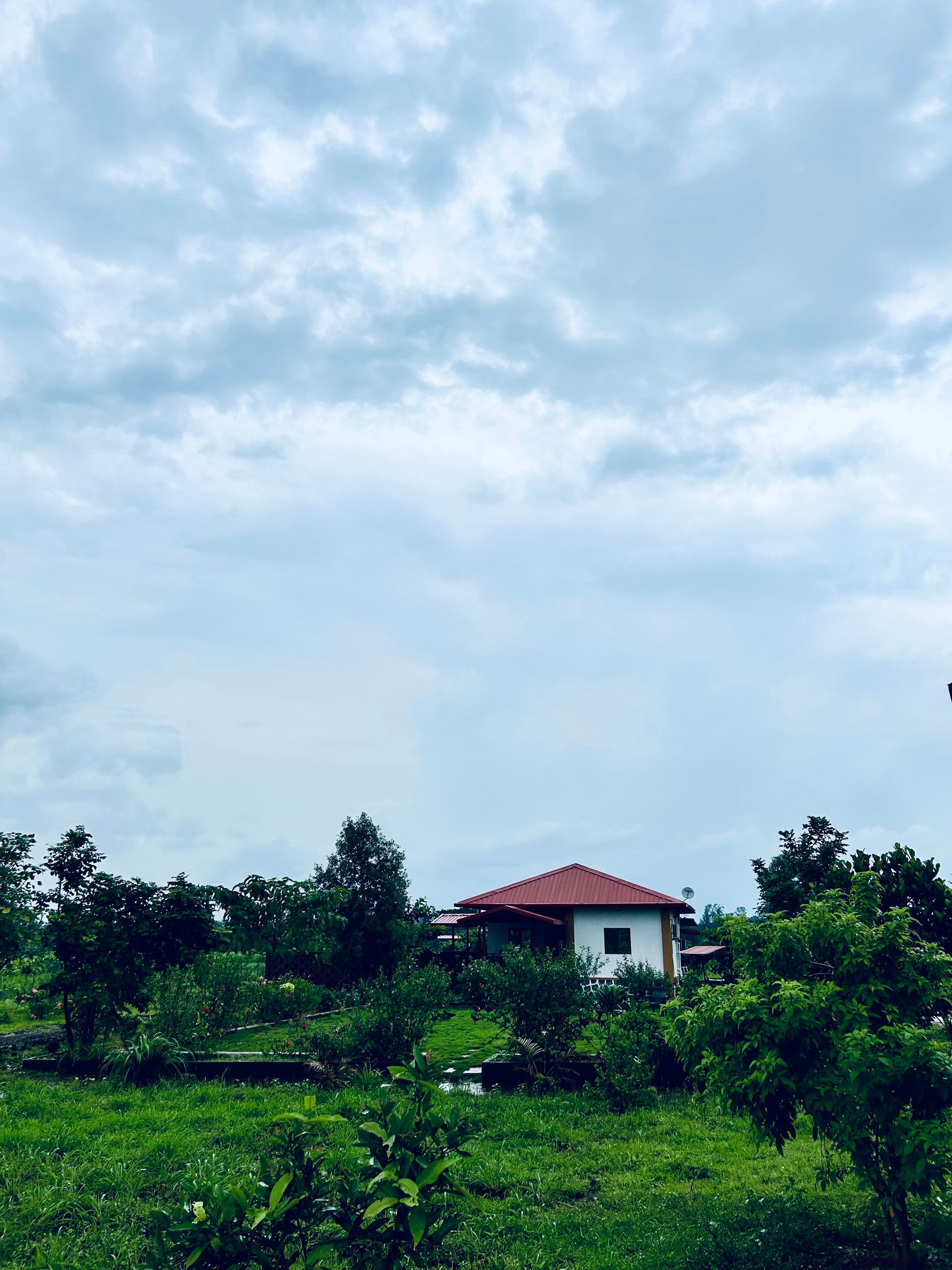 image_4673727_fd1df9f8-6ce4-4ffa-9a6c-0ec3143bcbcc