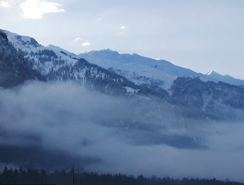 Hotel Royal Respite Manali