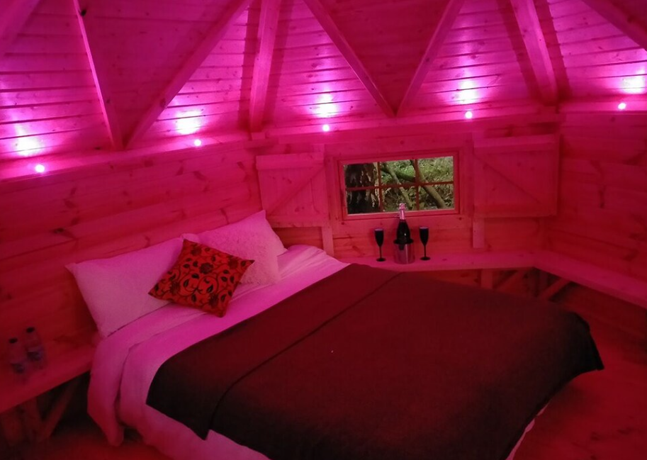 Oak Ridge Retreat Standard Room 2