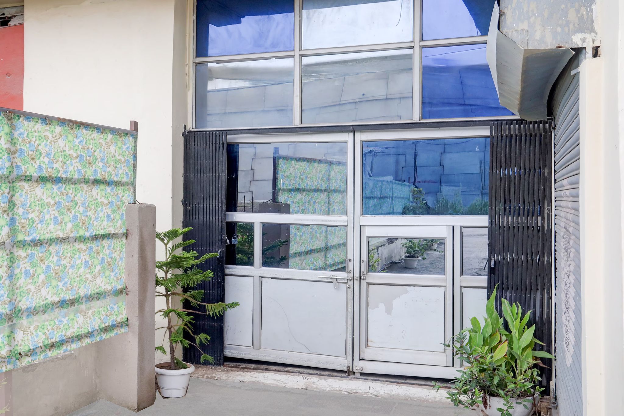 image_4674745_19a9a56b-d979-43af-8687-62958741523a