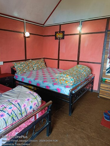 Mayaavea Offbeat homestay