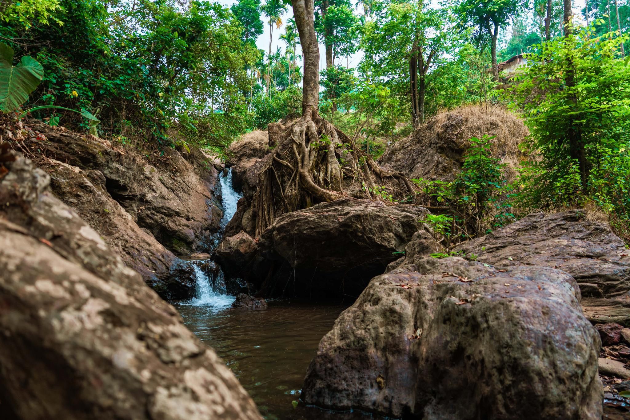 Recreational facilities