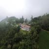 Tea Tree Munnar