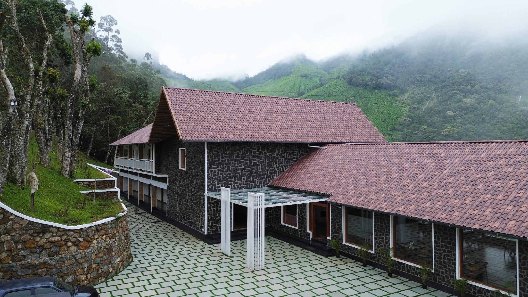 Tea Tree Munnar
