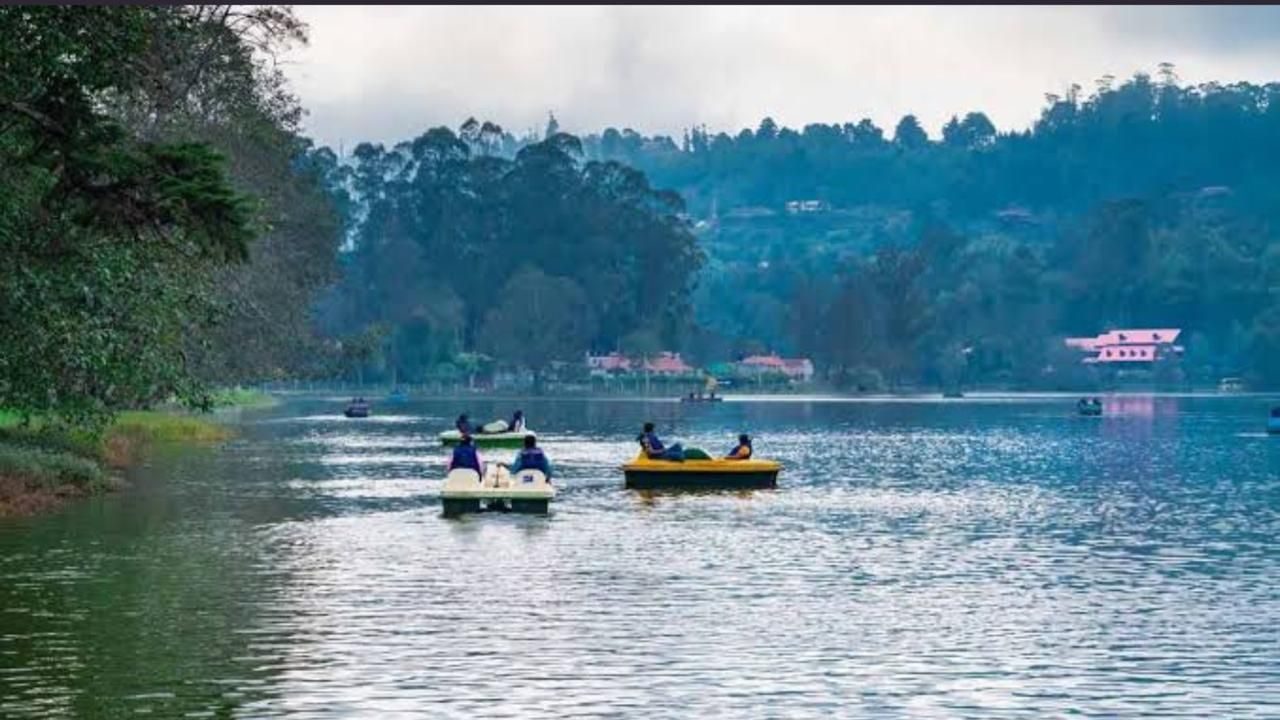 Surrounding environment