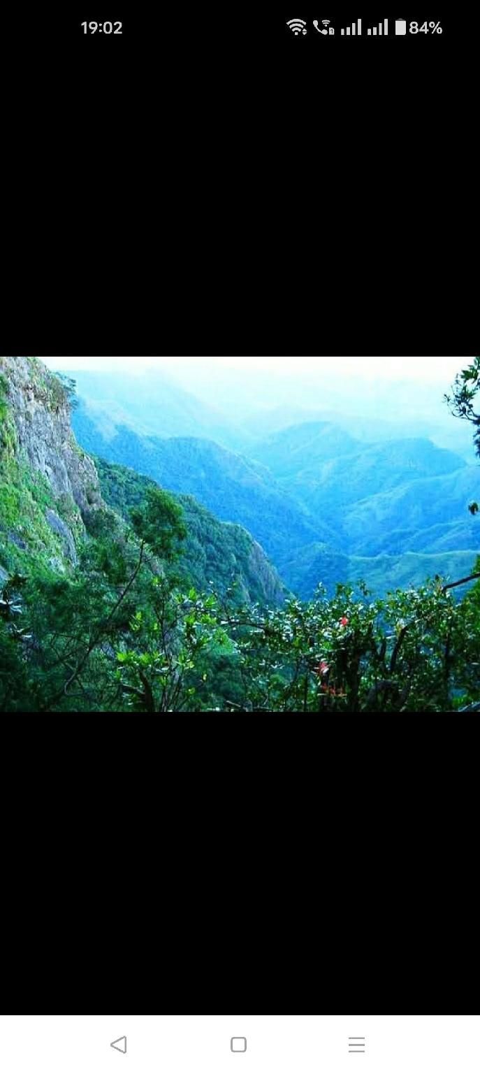 Surrounding environment