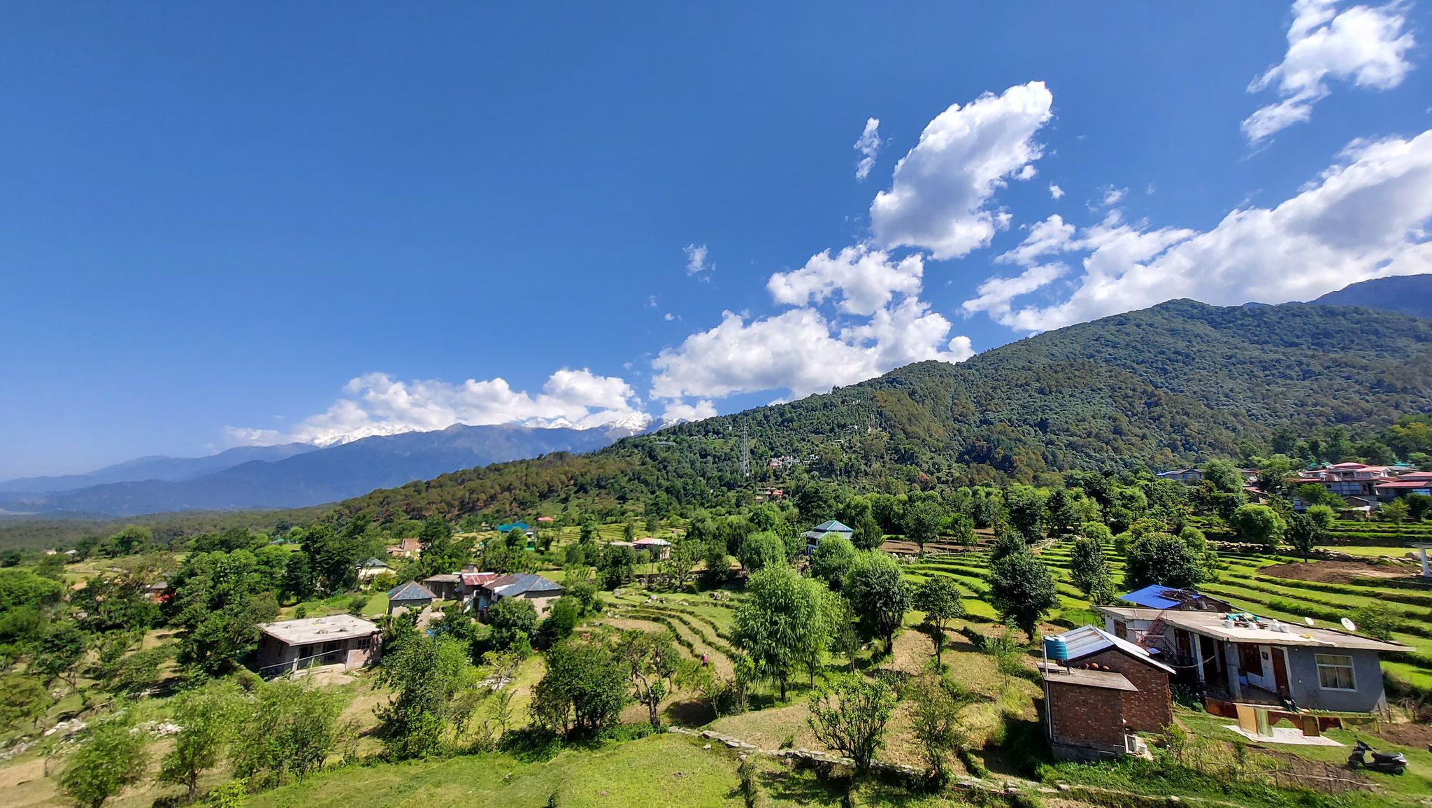 TLO - The Life Outdoor, Bir