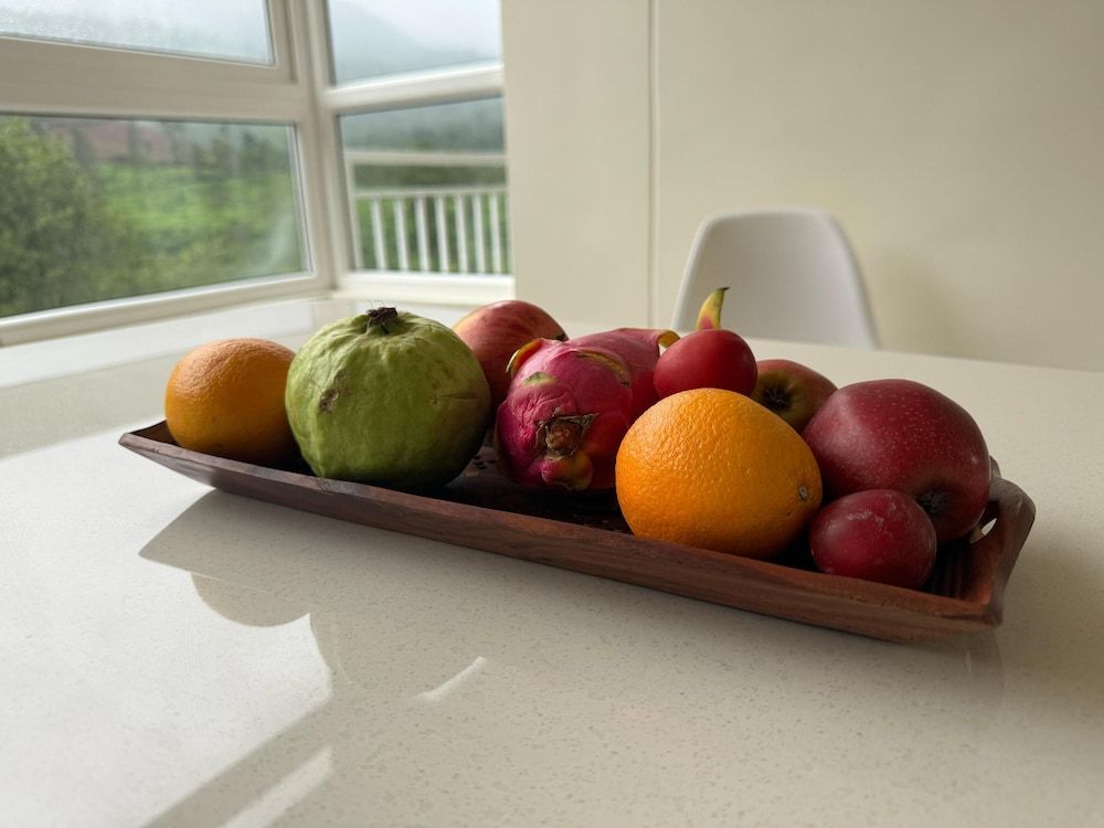 Mountain Serenity Standard Room, 1 Bedroom, Kitchen, Mountain View 5