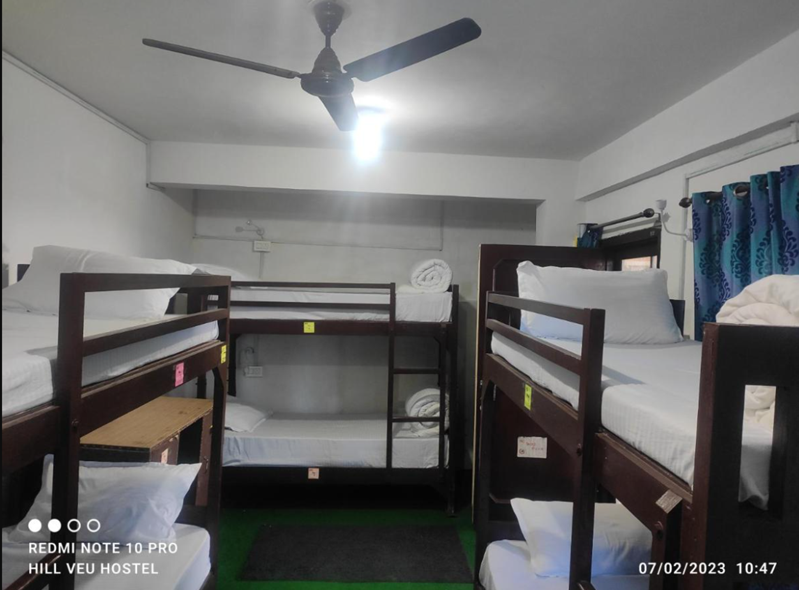 Bunk Bed in Mixed Dormitory Room