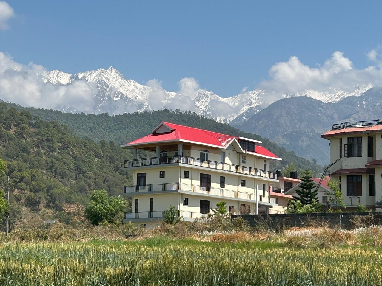 Dhauladhar Vista