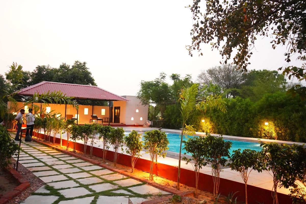 Swimming pool [outdoor]