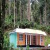 Raintree Cottage