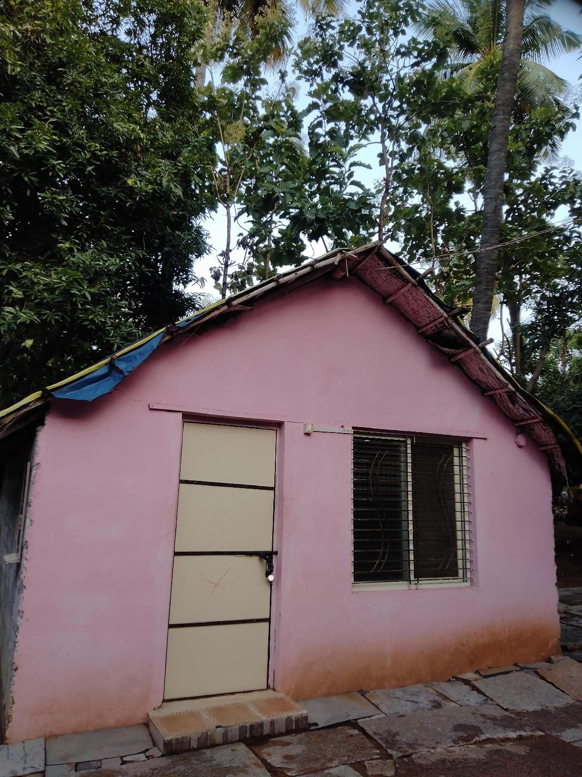 GOLDEN GARDEN homestay HAMPI