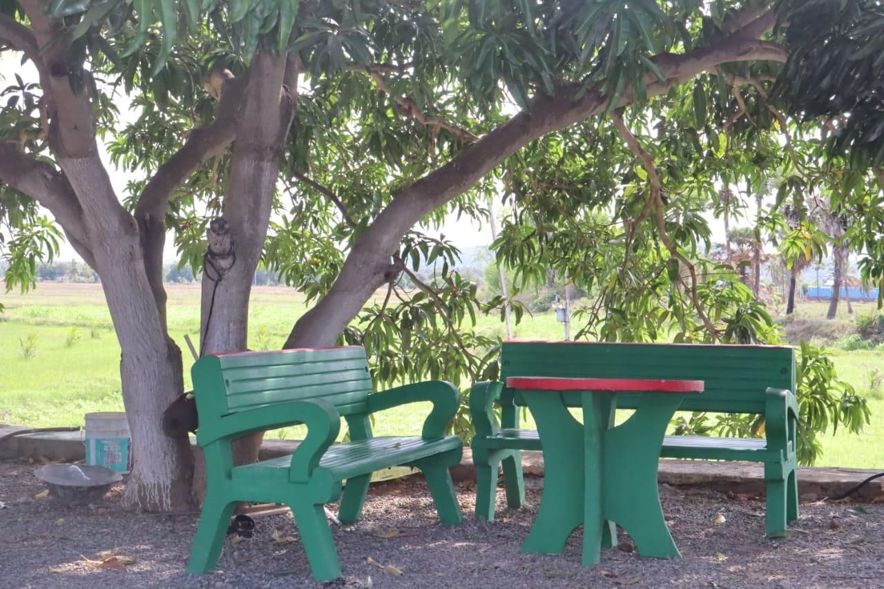 Surrounding environment