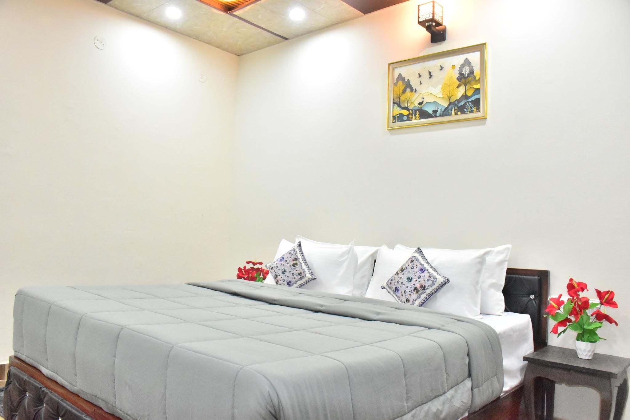 Splendid Retreat Homestay Kasauli Double Mountain View 3