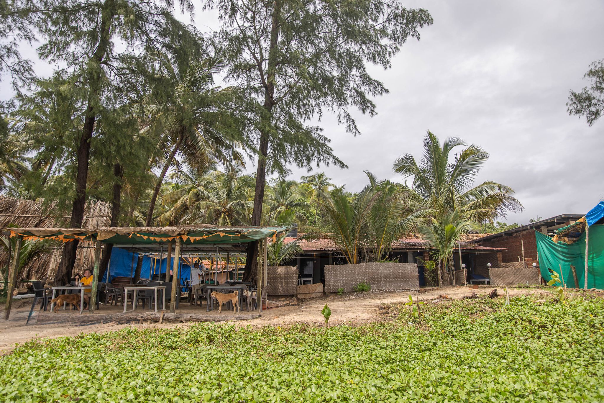 Talpona Beach Getaways