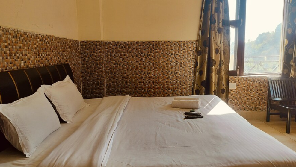 Hotel Wonder Land Deluxe NON AC Room 2