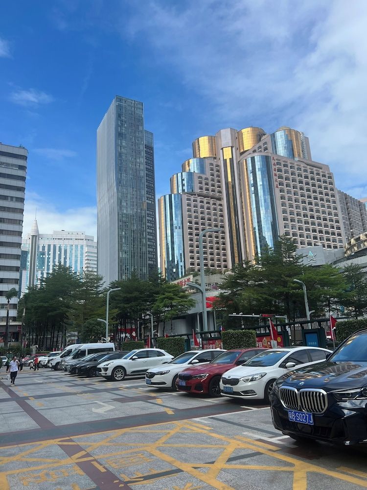Wheelchair-accessible van parking