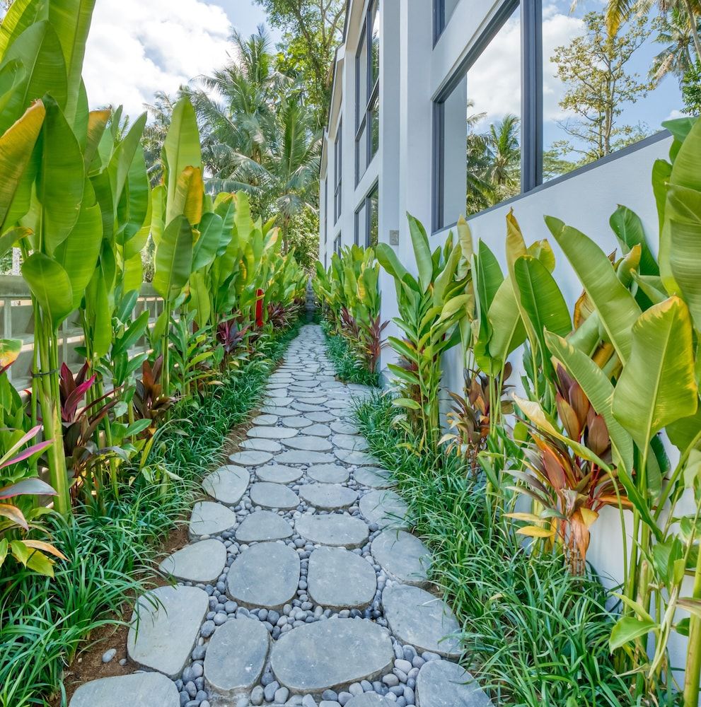 Land View from Property