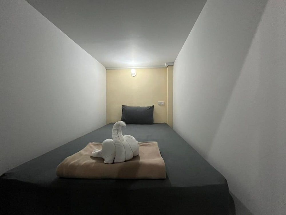 3 Tigers Resort & Hostel Comfort Shared Dormitory 2