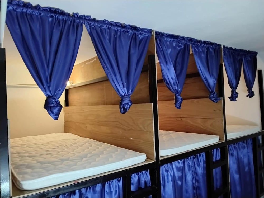 Hostel 24 Backpackers Shared Dormitory 2