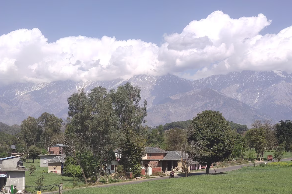 Sunshine Homestay | Rooms & Kitchen