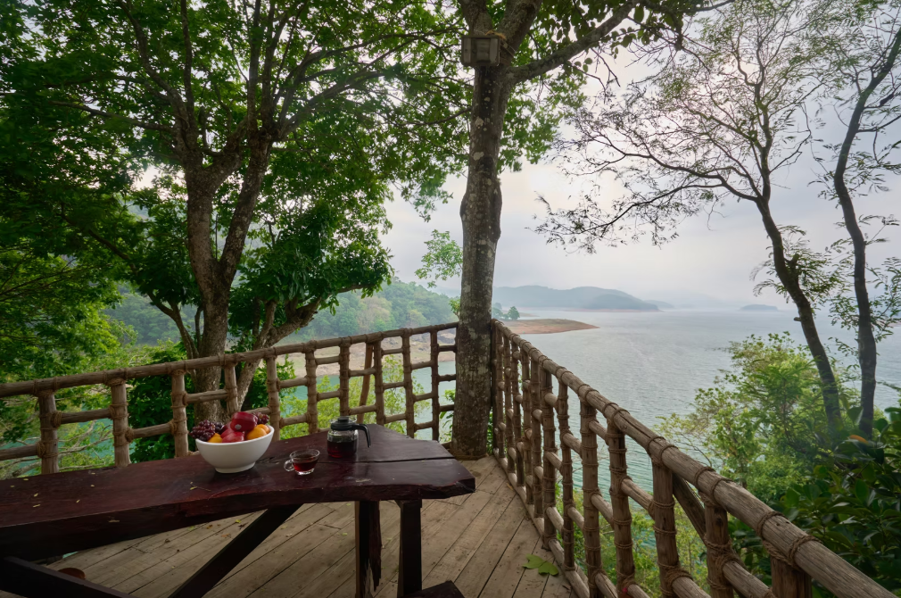 image_4695132_ccf66f52-9f6b-44de-a406-b075221b587b