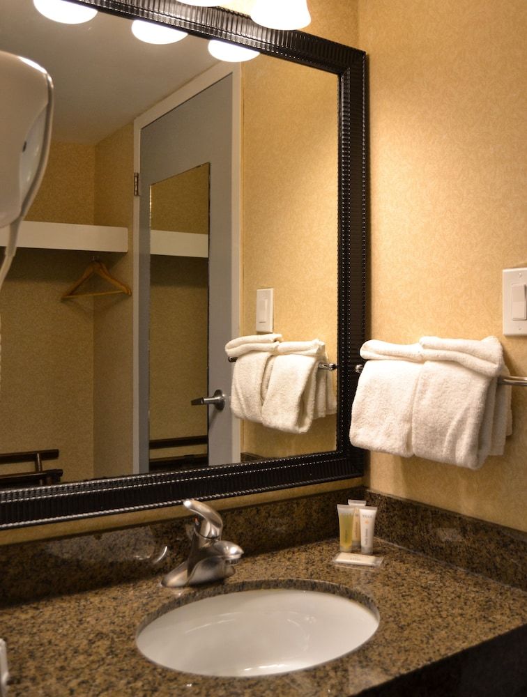 Amenida Residences Standard Single Room, 1 Double Bed 5