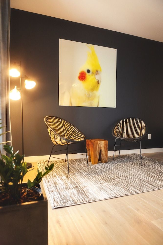 The Laundry Rooms Waterloo Family Apartment 4