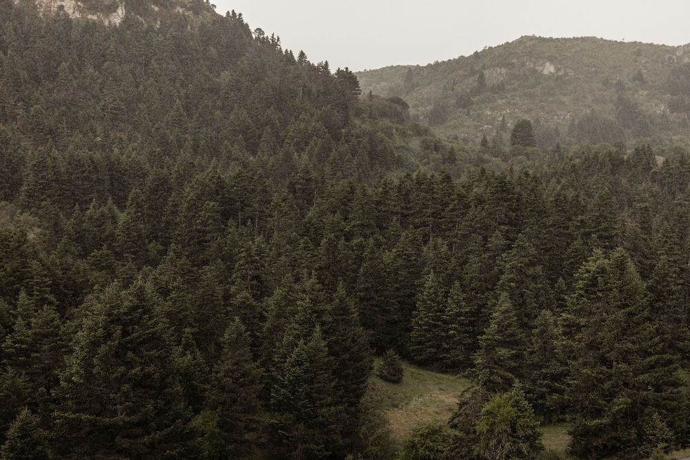 MANNA, a Member of Design Hotels Superior Room, Mountain View 4