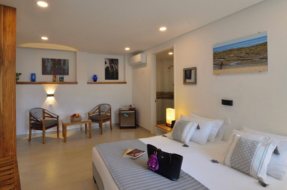 Superior Double or Twin Room, Pool View
