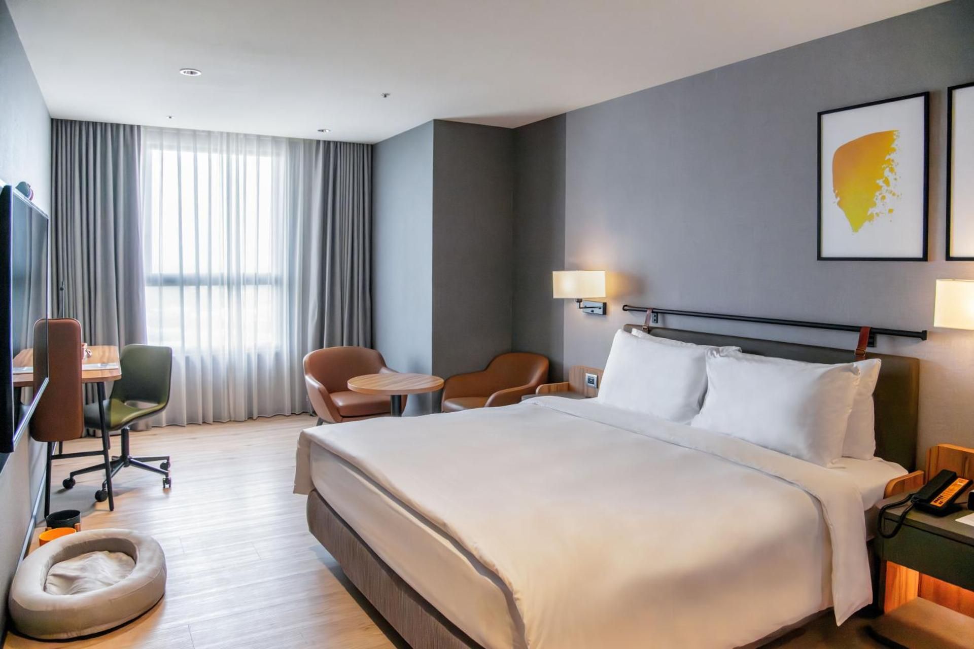 Standard King Room - Pet Friendly
