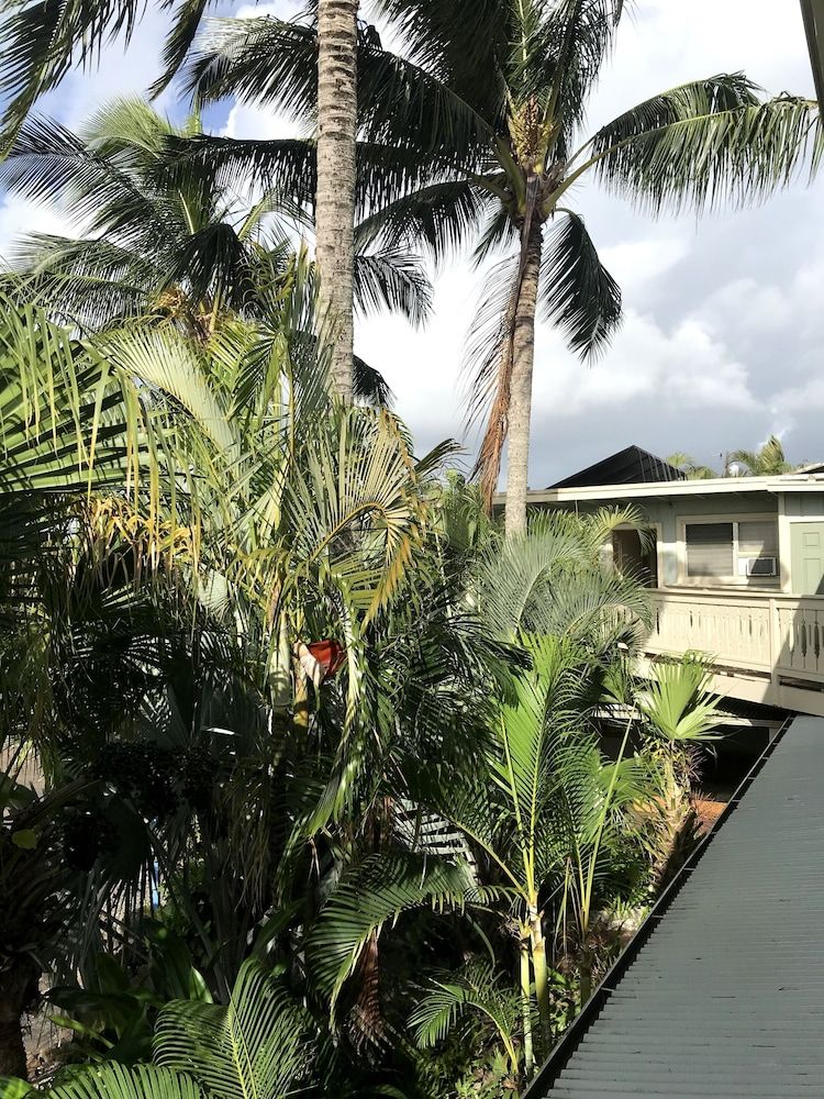 Kaua'i Palms Hotel Basic Studio, Mountain View 8