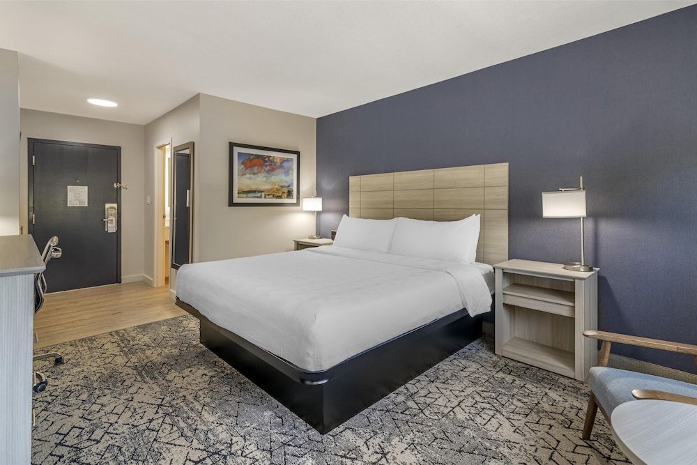 Standard Room, 1 King Bed, Non Smoking (Walk-in Shower)