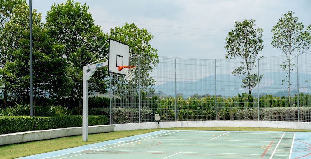 Basketball Court