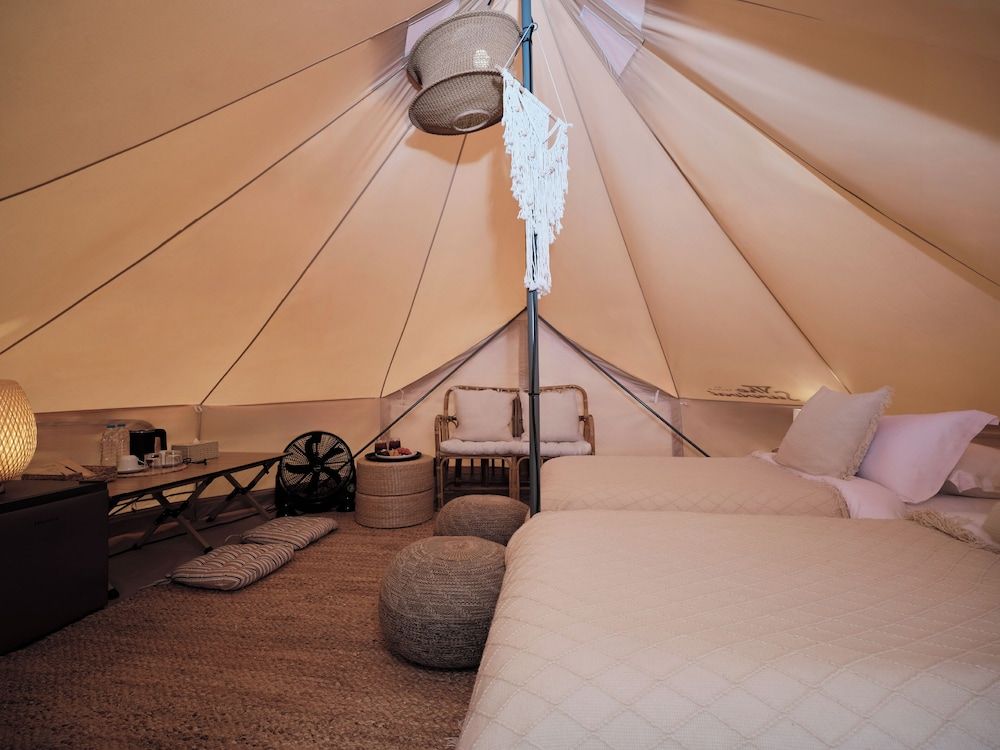 The Survival by Seudam