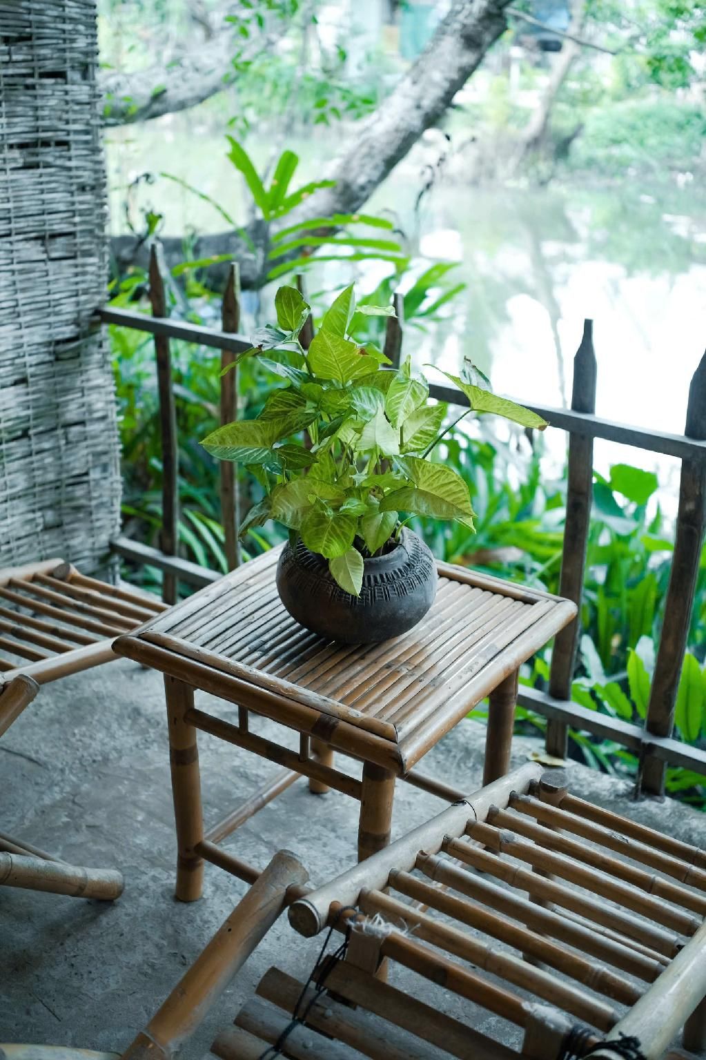 HomeTravel Mekong Can Tho - Hostel Standard Bungalow 2