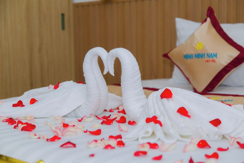 Minh Minh Nam 2 Hotel Economy Double Room 4